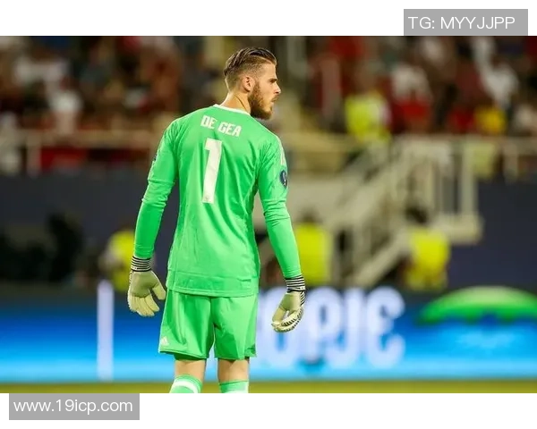 施瓦泽：蓝军能够在冬窗测验引入特拉福德，桑切斯不行安稳